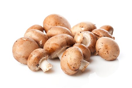 simsearch:400-04824992,k - A fresh brown mushroom against a white background Stock Photo - Budget Royalty-Free & Subscription, Code: 400-04892162