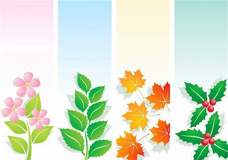 four seasons maple - Plants four seasons, spring, summer, autumn and winter Stock Photo - Budget Royalty-Free & Subscription, Code: 400-04904143