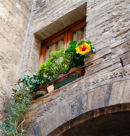 Architectual details  window with flower - Tuscany - Italy Photographie de stock - Aubaine LD & Abonnement, Code: 400-04904218