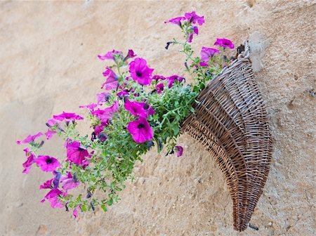 Decoration on the streets of a small tuscany Vilage Stock Photo - Budget Royalty-Free & Subscription, Code: 400-04904221