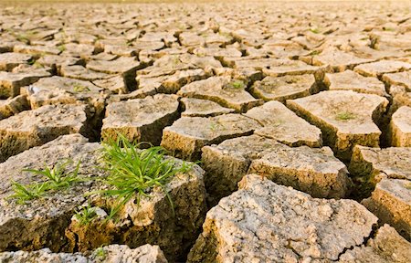 dusty environment - Cracked earth with grass , metaphoric for climate change and global warming. Stock Photo - Budget Royalty-Free & Subscription, Code: 400-04906131