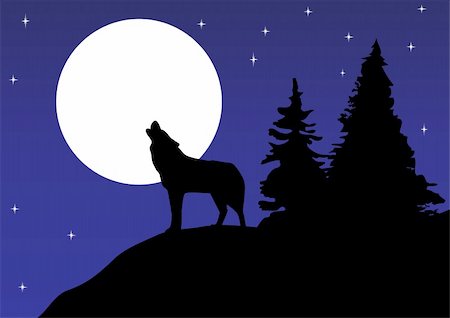 Vector illustration of wolf howling at the moon Stock Photo - Budget Royalty-Free & Subscription, Code: 400-04907879