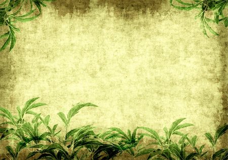 simsearch:400-04199406,k - Grunge background - a sheet of the old paper with green leaves Stock Photo - Budget Royalty-Free & Subscription, Code: 400-04914458
