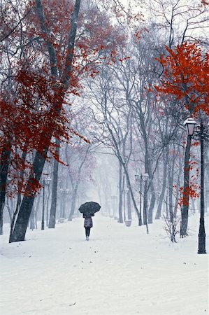 red trail - Girl with umbrella walking on the path. Winter. Trees with red leafs. Stock Photo - Budget Royalty-Free & Subscription, Code: 400-04916362