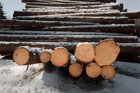 Stack of timber in winter Stock Photo - Budget Royalty-Free & Subscription, Code: 400-04918474