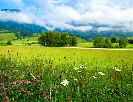 simsearch:400-05135647,k - Alps mountain meadow tranquil summer view Stock Photo - Budget Royalty-Free & Subscription, Code: 400-04912461