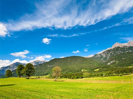 simsearch:400-05135647,k - Alps mountain meadow tranquil summer view (Austria, Gosau village outskirts) Stock Photo - Budget Royalty-Free & Subscription, Code: 400-04912470