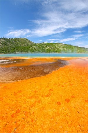 Vivid colors of Grand Prismatic Spring in Yellowstone National Park - USA. Stock Photo - Budget Royalty-Free & Subscription, Code: 400-04925003