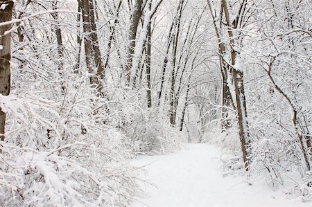 Fresh snowfall along a hiking trail in northern Illinois. Stock Photo - Budget Royalty-Free & Subscription, Code: 400-04925094