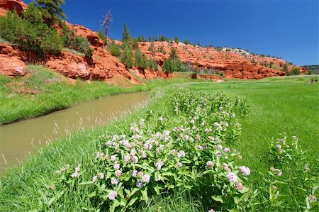 simsearch:400-05705152,k - Belle Fourche River flows through beautiful red rock at Devils Tower National Monument - Wyoming. Stock Photo - Budget Royalty-Free & Subscription, Code: 400-04925107