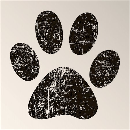 simsearch:400-06392340,k - Print black paws on a white background. Stock Photo - Budget Royalty-Free & Subscription, Code: 400-04925512