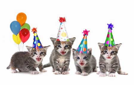 Singing Kittens on a White Background With Birthday Hats and Balloons Stock Photo - Budget Royalty-Free & Subscription, Code: 400-04925873