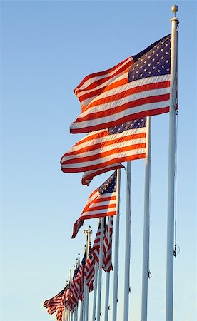 simsearch:400-06389956,k - A line of American flags against a bright blue sky. Photographie de stock - Aubaine LD & Abonnement, Code: 400-04939480