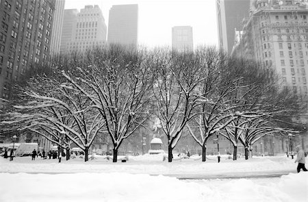 Central Park Roundabout Stock Photo - Budget Royalty-Free & Subscription, Code: 400-04932301