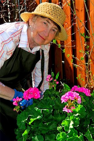 Senior woman working in her garden in the spring Stock Photo - Budget Royalty-Free & Subscription, Code: 400-04946487