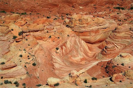 swirling rock formation - Vermilion Cliffs National Monument - North Coyote Buttes Stock Photo - Budget Royalty-Free & Subscription, Code: 400-04941228