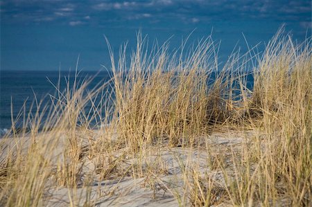 sea summer blue landscape from Baltic Sea Poland Stock Photo - Budget Royalty-Free & Subscription, Code: 400-04955997