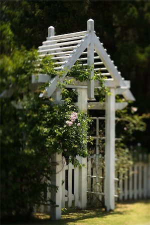 photo picket garden - Arbor with rose bush and white picket fence on Bald Head Island, North Carolina. Stock Photo - Budget Royalty-Free & Subscription, Code: 400-04953001