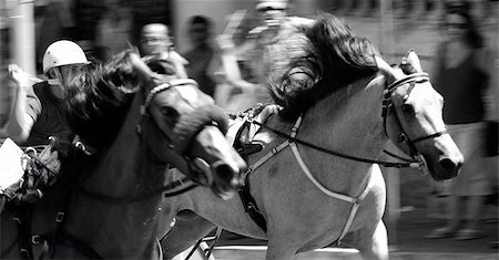 action shot of two race horses vying head to head as part of the celebrations of the village festa in gozo Stock Photo - Budget Royalty-Free & Subscription, Code: 400-04968756