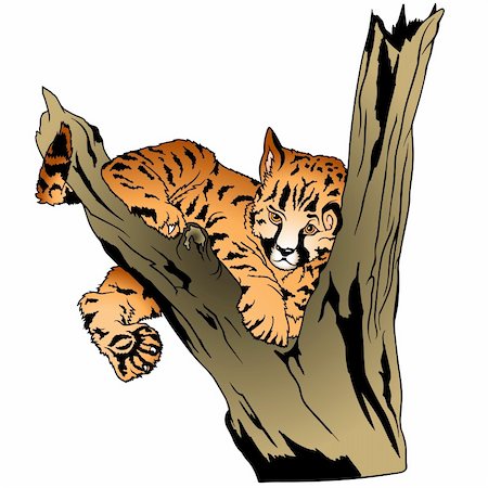 simsearch:400-04171805,k - Leopard 2 - coloured cartoon illustration as vector - Leopard Puppy on branch Stock Photo - Budget Royalty-Free & Subscription, Code: 400-04961887