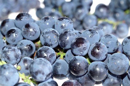 simsearch:400-06923729,k - Close-up grape Stock Photo - Budget Royalty-Free & Subscription, Code: 400-04962741