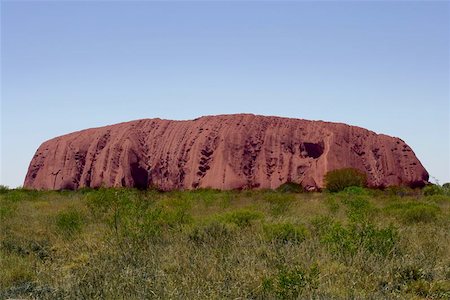 red kangaroo of australia - Ayers Rock late in the day. Stock Photo - Budget Royalty-Free & Subscription, Code: 400-04975317
