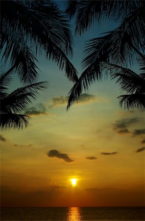 simsearch:400-04062726,k - sunset in tropics Foto de stock - Super Valor sin royalties y Suscripción, Código: 400-04987890
