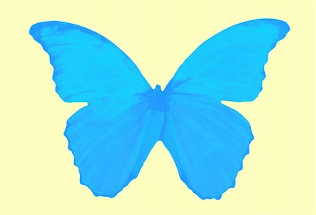 simsearch:400-04259527,k - butterfly collection - delightful butterfly with its vibrant colors Stock Photo - Budget Royalty-Free & Subscription, Code: 400-04981092