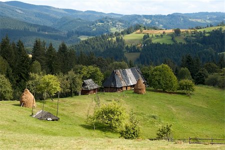 simsearch:400-05719580,k - Summer mountainous green glade with small country estate  (Slavske village, Carpathian Mts, Ukraine). Photographie de stock - Aubaine LD & Abonnement, Code: 400-04982324