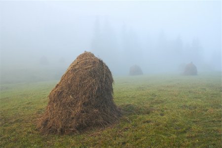 simsearch:400-05719580,k - Haystacks on misty morning mountainside (Carpathian, Ukraine) Photographie de stock - Aubaine LD & Abonnement, Code: 400-04982327