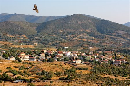 A (digitally added) eagle (snake-eagle) over the village of Agios Dimitrios Lakonias (Greece) Stock Photo - Budget Royalty-Free & Subscription, Code: 400-04996662