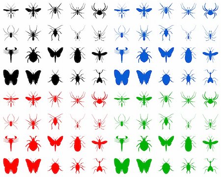 Color illustration of the bugs silhouettes on white Stock Photo - Budget Royalty-Free & Subscription, Code: 400-04999110