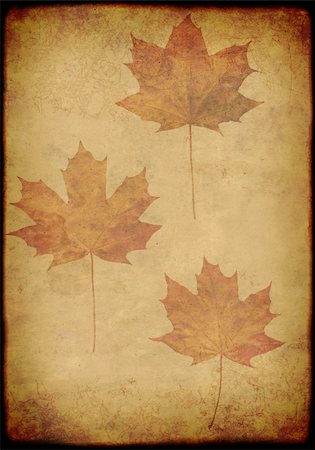 simsearch:400-04544818,k - Vertical grunge background with maple leafs Photographie de stock - Aubaine LD & Abonnement, Code: 400-04999865