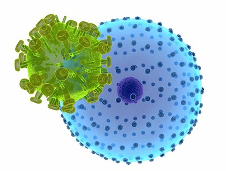 simsearch:400-04191296,k - 3d rendered close up of a hi virus attacking a cell Foto de stock - Super Valor sin royalties y Suscripción, Código: 400-05006227