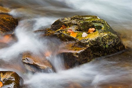 simsearch:400-05890122,k - Autumn brook with mini waterfalls flowing in the national park Stock Photo - Budget Royalty-Free & Subscription, Code: 400-05006232