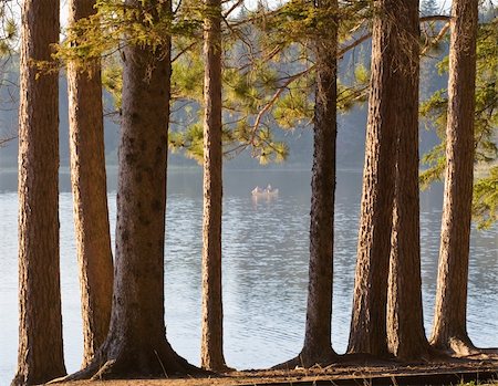 simsearch:400-05308802,k - A lake with a canoe viewed through trees. Location is Mew lake in Algonquin park Stock Photo - Budget Royalty-Free & Subscription, Code: 400-05006778