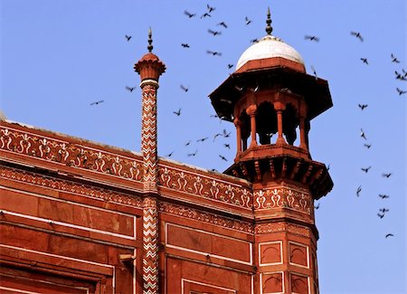 India, Agra: Taj Mahal; detail of the mosque's roof with birds flying Stock Photo - Budget Royalty-Free & Subscription, Code: 400-05006926