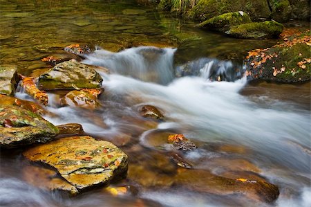 simsearch:400-05890122,k - Autumn brook with mini waterfalls flowing in the national park Stock Photo - Budget Royalty-Free & Subscription, Code: 400-05003972