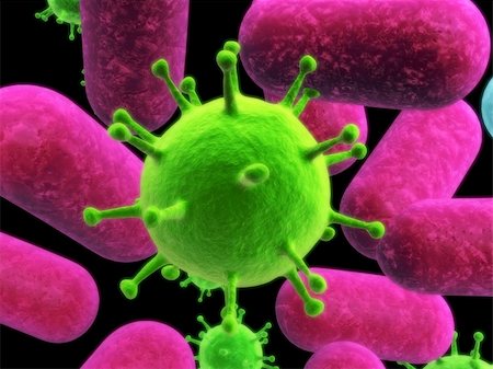 simsearch:400-05016219,k - 3d rendered illustration of a virus and bacteria Stock Photo - Budget Royalty-Free & Subscription, Code: 400-05019139