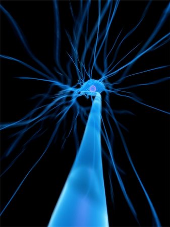 3d rendered close up of a human nerve cell Foto de stock - Super Valor sin royalties y Suscripción, Código: 400-05010436