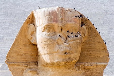 pyramids of giza close up - The Great Sphinx of Giza near Cairo, Egypt. Stock Photo - Budget Royalty-Free & Subscription, Code: 400-05028290