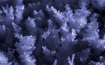 A close-up of some snow flakes Stock Photo - Budget Royalty-Free & Subscription, Code: 400-05029575