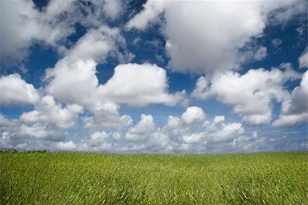 simsearch:700-00053425,k - Landscape of a green meadow with a beautiful blue sky Stock Photo - Budget Royalty-Free & Subscription, Code: 400-05021727