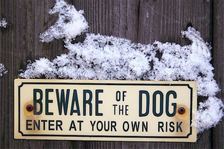 snow dog on a beware of the dog sign Stock Photo - Budget Royalty-Free & Subscription, Code: 400-05023234