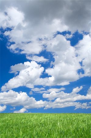 simsearch:400-03991406,k - meadow against summrer sky with cumulus clouds Stock Photo - Budget Royalty-Free & Subscription, Code: 400-05032411