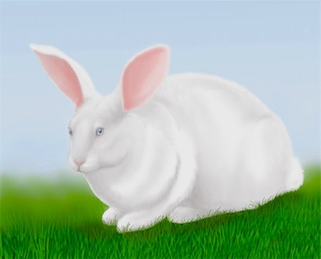 simsearch:400-07424187,k - An airbrush drawing of a white rabbit for Easter. Photographie de stock - Aubaine LD & Abonnement, Code: 400-05048741