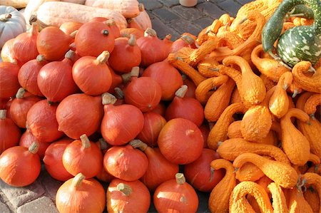 fruit display and price - Pumpkins on the street Stock Photo - Budget Royalty-Free & Subscription, Code: 400-05049341