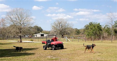 Banner of a farmer riding his off-road vehicle around his property with his dogs running along. Stock Photo - Budget Royalty-Free & Subscription, Code: 400-05042157