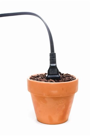 simsearch:700-03698429,k - A plug plugged in to a flower pot. Stock Photo - Budget Royalty-Free & Subscription, Code: 400-05054832