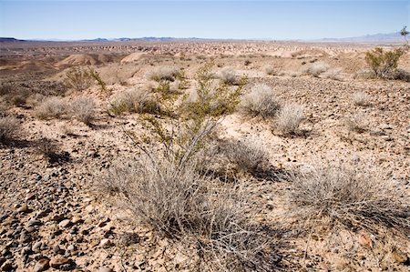 Desert zone in Valley of fire near Overton, Lake Mead, Nevada, USA Stock Photo - Budget Royalty-Free & Subscription, Code: 400-05059123